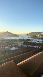 Meanwhile, on the Douro #2… 🚤☀️